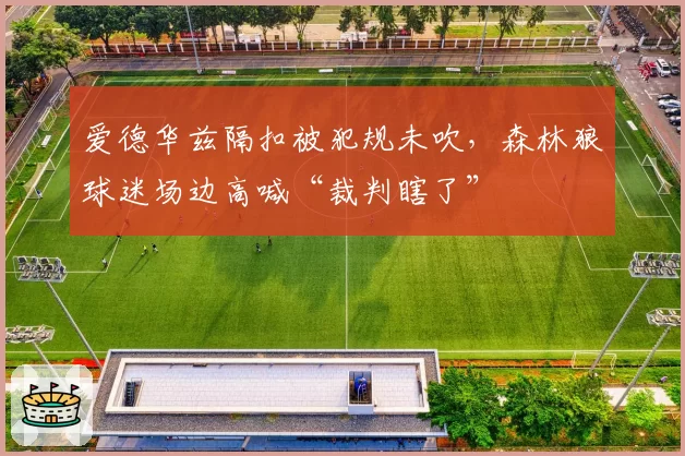 爱德华兹隔扣被犯规未吹，森林狼球迷场边高喊“裁判瞎了”