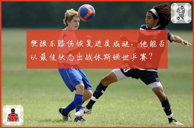 樊振东膝伤恢复进度成谜，他能否以最佳状态出战休斯顿世乒赛？
