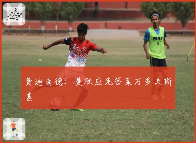 费迪南德:曼联应免签莱万多夫斯基