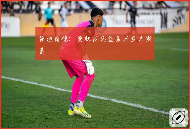 费迪南德:曼联应免签莱万多夫斯基
