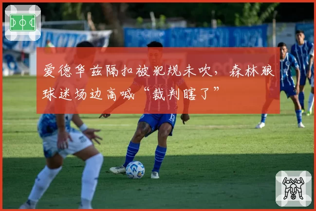 爱德华兹隔扣被犯规未吹，森林狼球迷场边高喊“裁判瞎了”